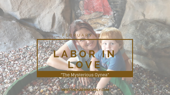 Labor in Love: The Mysterious Gynea Feature