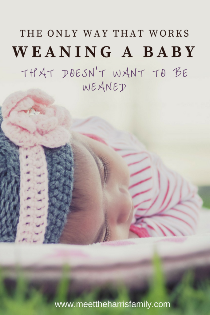 The Only Way That Works: Weaning a Baby That Doesn't Want To Be Weaned