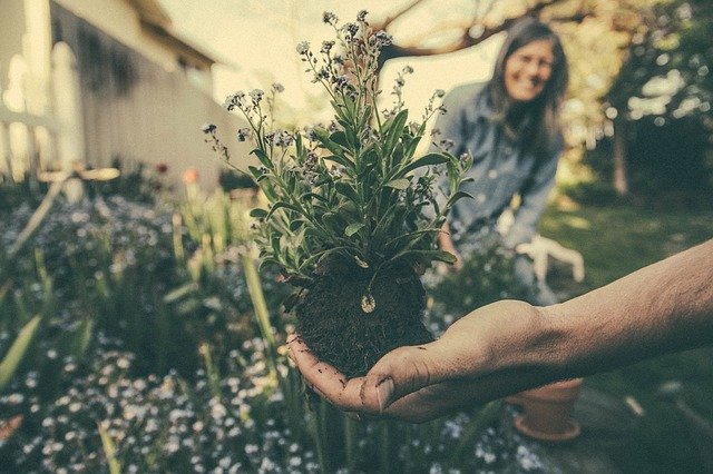 Family Gardening