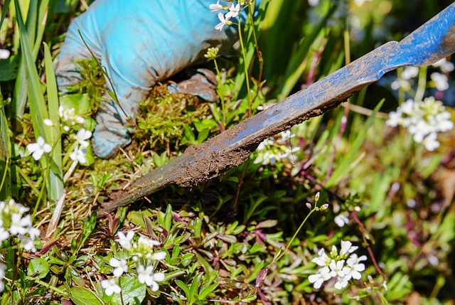 Pull weeds by hand